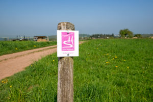 Traumschleife Saar-Hunsrück, Wegweiser zur Ehrbachklamm Traumschleife Saar-Hunsrück, Wegweiser zur Ehrbachklamm